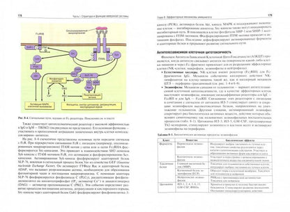 Иммунология : учебник / Р. М. Хаитов. — 3-е изд., перераб. и доп. — М. : ГЭОТАР-Медиа, 2016. — 496 с. — ил.