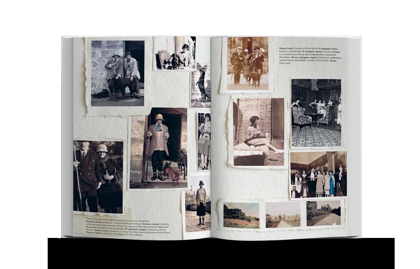 Coco Chanel: легенда и жизнь 2024 купленные у Шанель, (10 шт)