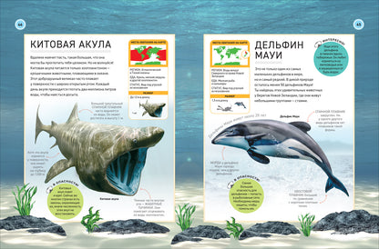 Подводный мир. Полная энциклопедия