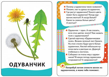Живой мир (Разв. карточки 0+)