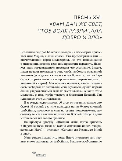 Данте,который видел Бога:"Божественная комедия"для всех+с/о