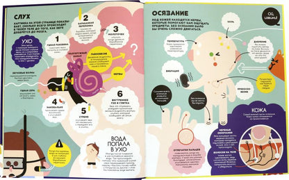 Nous sommes avec Olli et Molli. Человек. Выясняем, как устроен и как работает организм человека