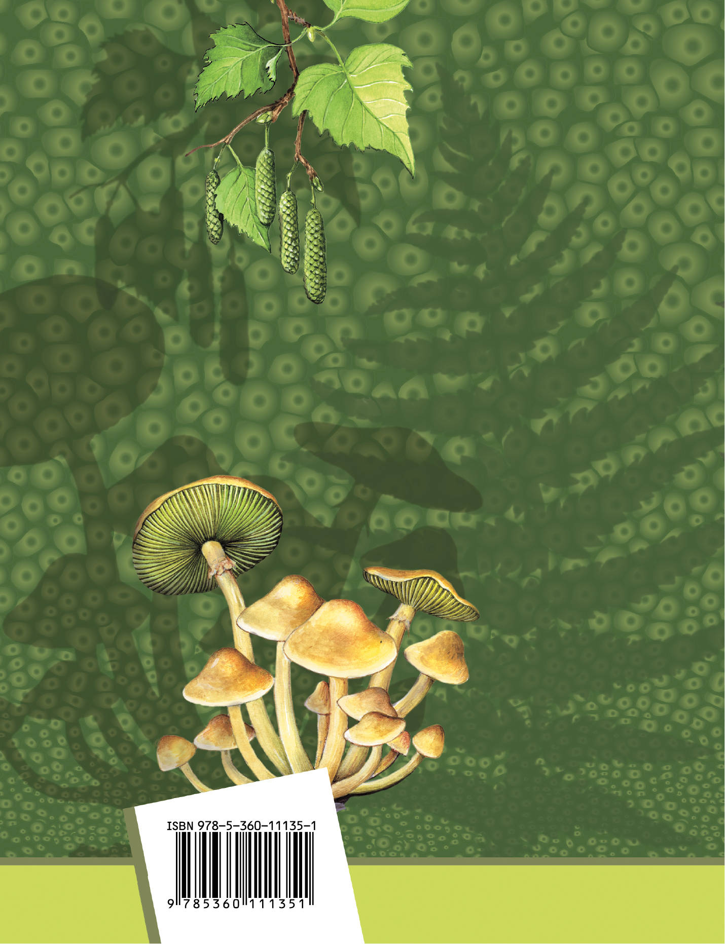 Биология. 6 кл. Учебник.