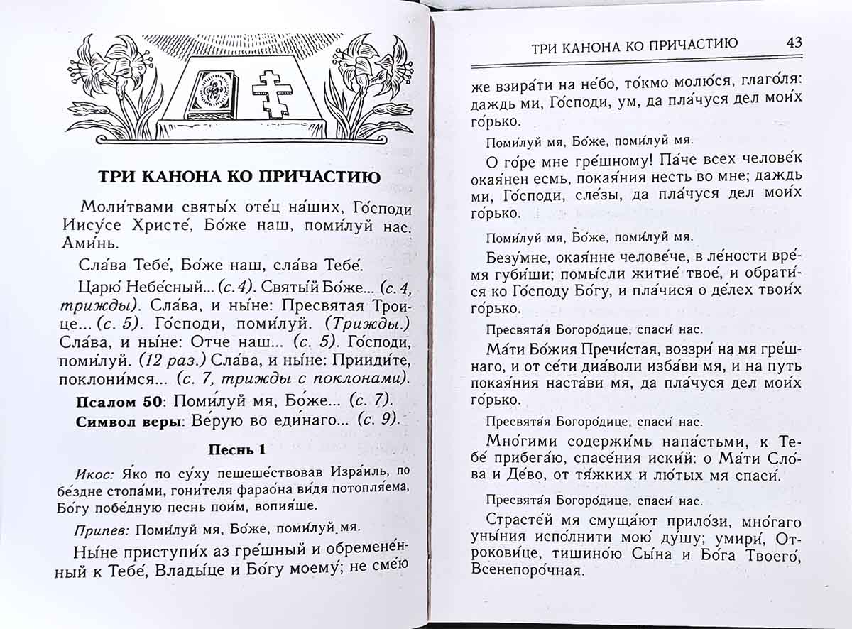 Молитвослов и акафисты для православной женщины. Сборник молитв