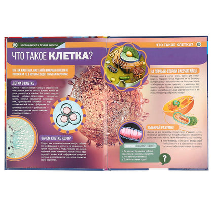 "УМКА". КОРОНАВИРУС И ДРУГИЕ ВИРУСЫ (ЭНЦИКЛОПЕДИЯ А4 С РАЗВИВАЮЩИМИ ЗАДАНИЯМИ). 48СТР. в кор.15шт