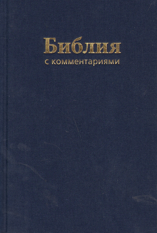 Библия (1179)043DC TI с коммен.(син.)