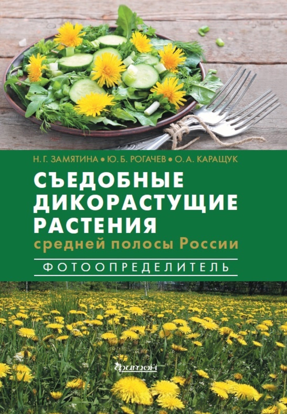 Съедобные дикорастущие растения средней полосы России. Photographie