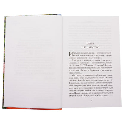 Пятый мост: роман