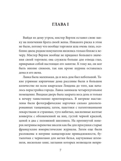 Секретный агент: роман
