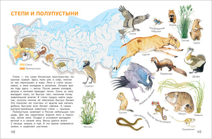 Мир и человек. Мой любимый географический атлас