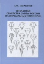 Емельянов А.Ф. Цикадовые семейства Cixiidae России и сопредельных территорий