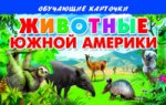 Cartes. Животные Южной Америки ; Cartes. Les jeunes Américains