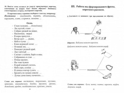 Развитие речи, мышления, внимания (грубая форма афазии). Клепацкая Л.Б.