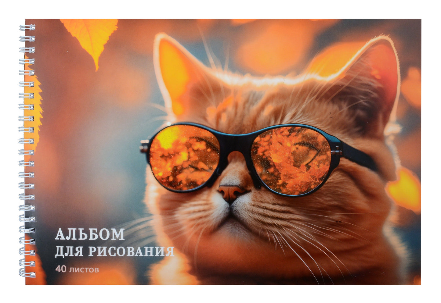 Альбом для рис.40л,Котик в очках,АСБ402530