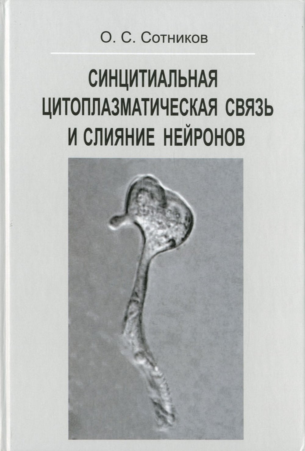 Синцитиальная цитоплазматическая связь и слияние нейронов
