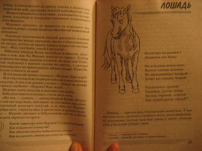 Домашние животные. Какие они? [Методика]