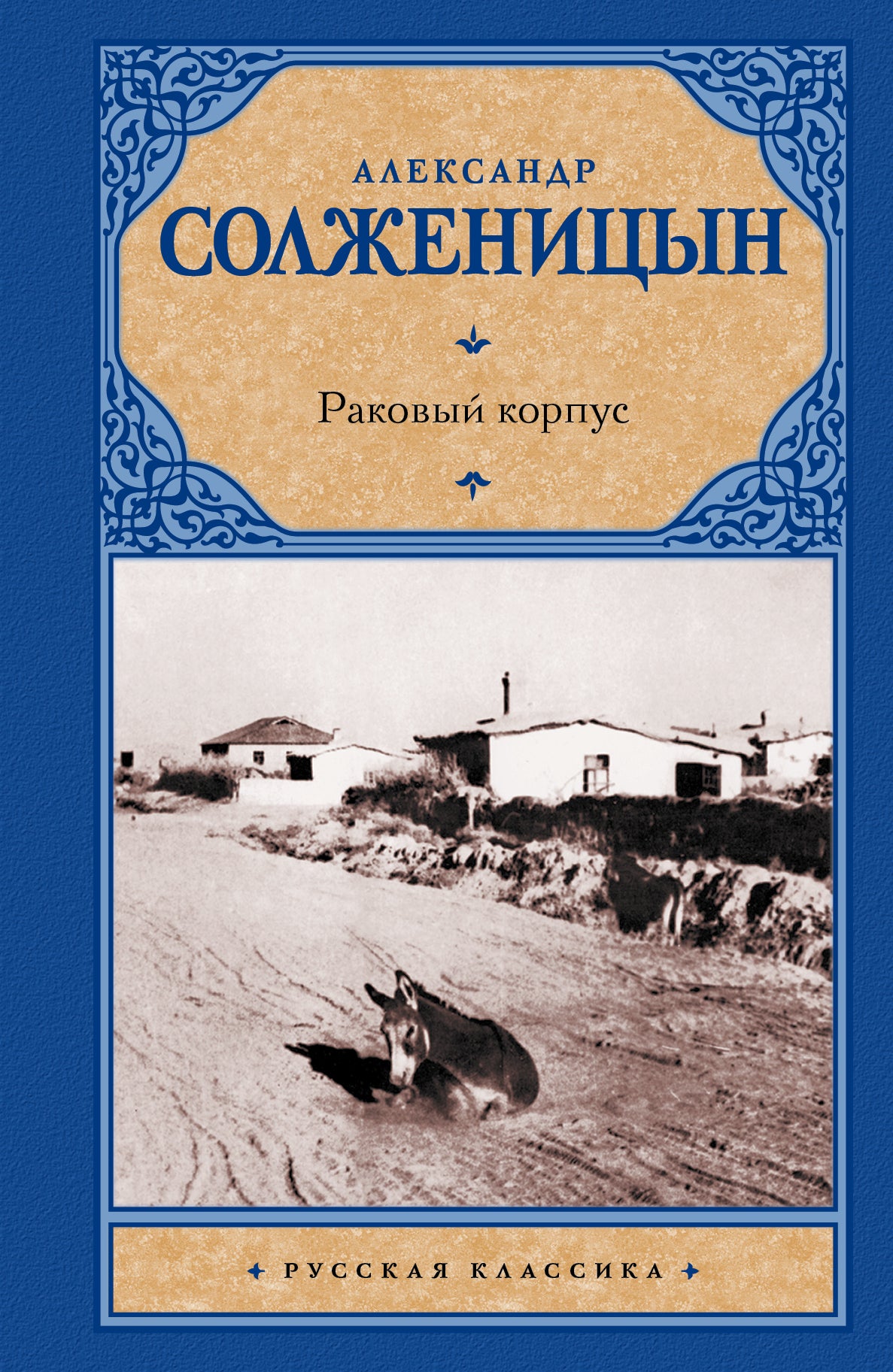 Corbeau de Rakov
