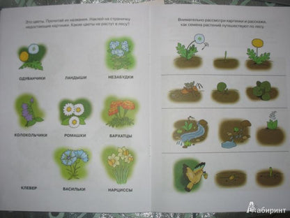Знакомимся с природой (4-5 лет)