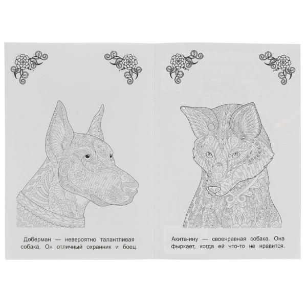 Les corgis et moi sommes durs. Раскраска Арт терапия. 145х210мм. Скрепка. 8 pièces. Умка в кор.50шт