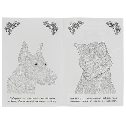 Les corgis et moi sommes durs. Раскраска Арт терапия. 145х210мм. Скрепка. 8 pièces. Умка в кор.50шт