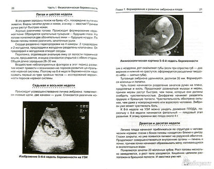 Заболевания и осложнения во время беременности