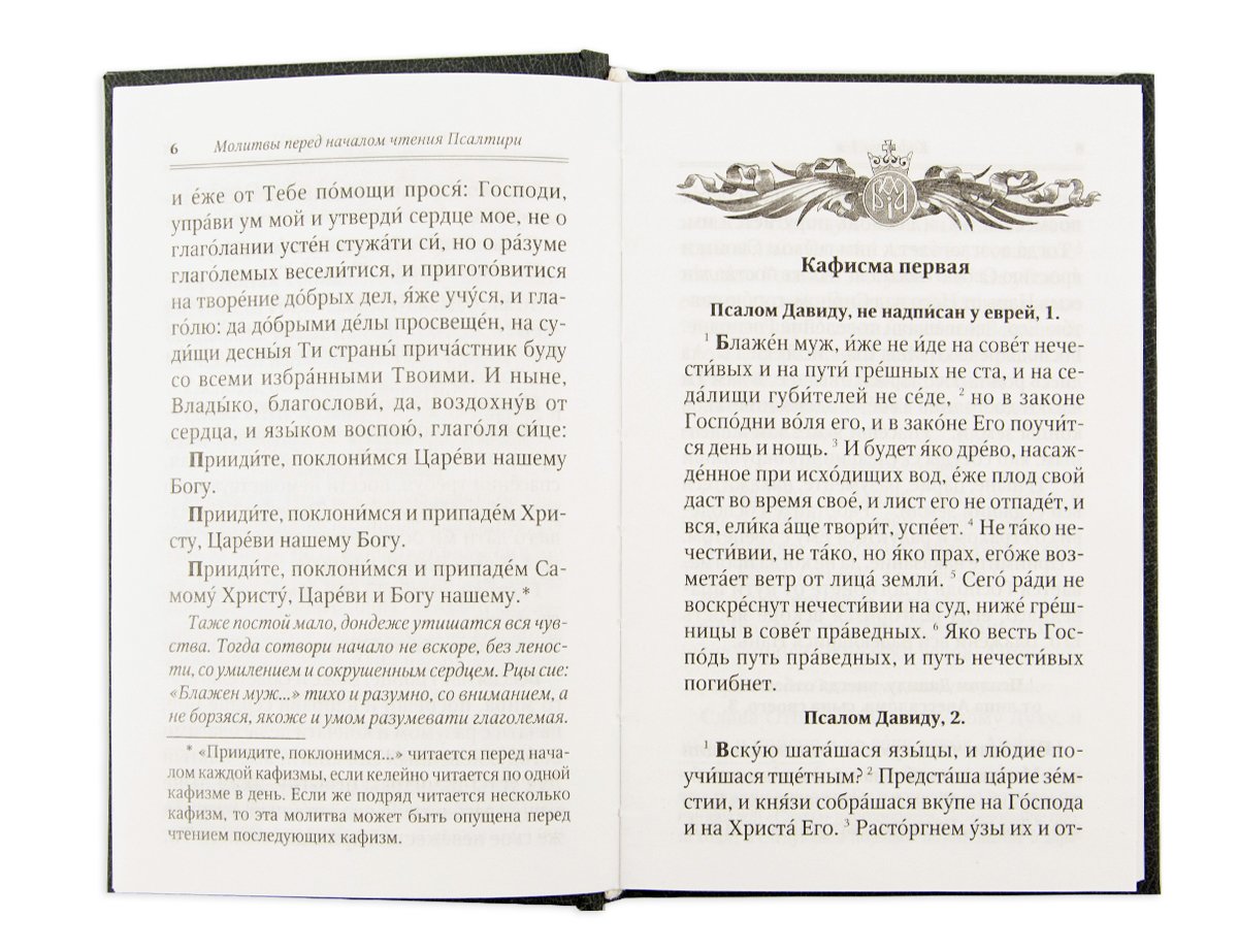 Псалтирь для мирян. Чтение Псалтири с поминовением живых и усопших (с клапаном на магните, кожа)