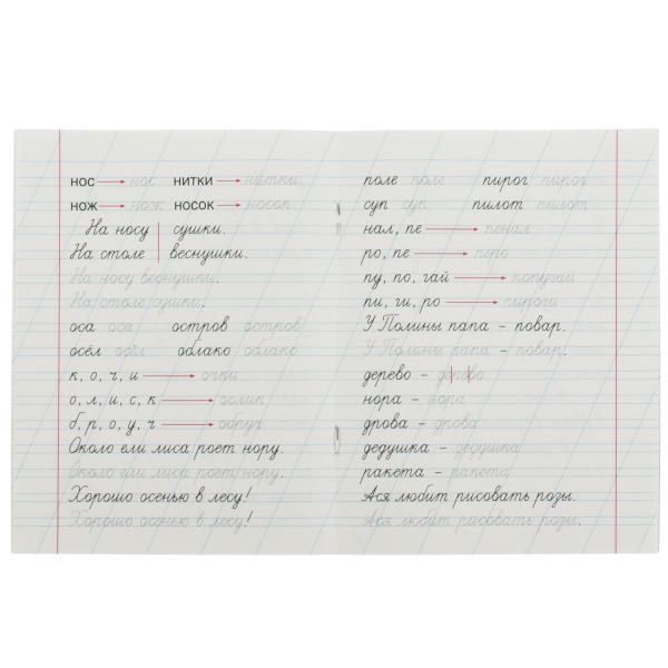 Прописи для дошкольников. Читающих детей. M. A. Joukova. 160х210мм. Скрепка. 16 pièces. Умка в кор.50шт