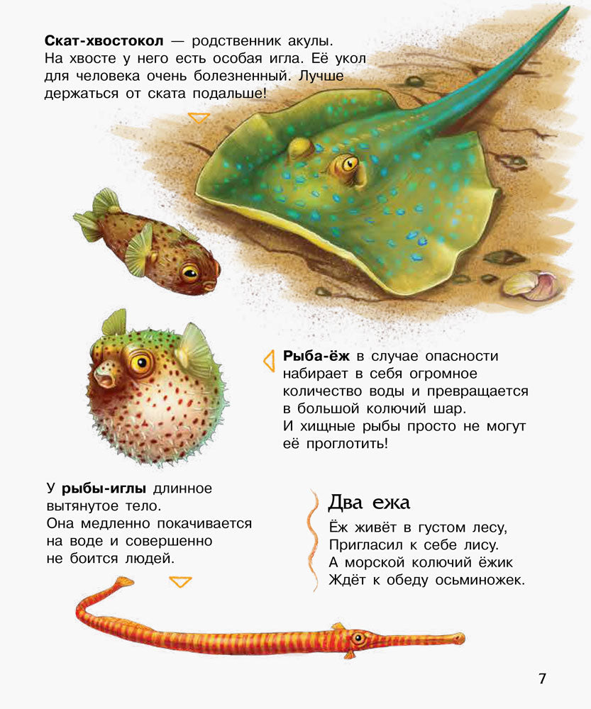 Енциклопедія дошкільника (нова): Океаны и моря (р)