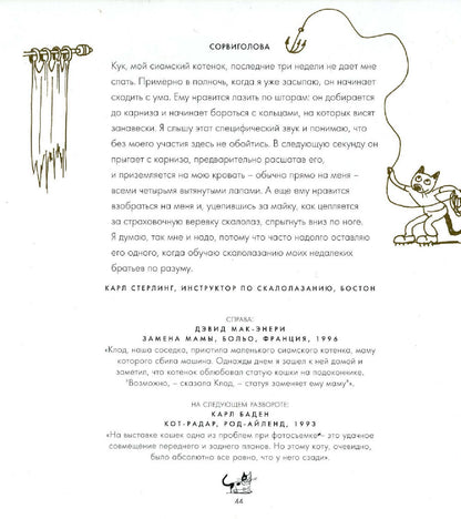 Большая книга кошек