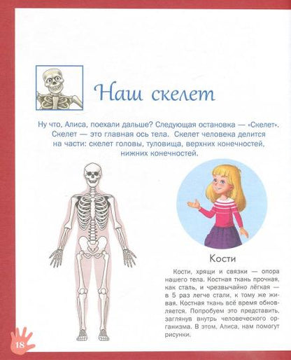Путешествие Алисы в страну Анатомию