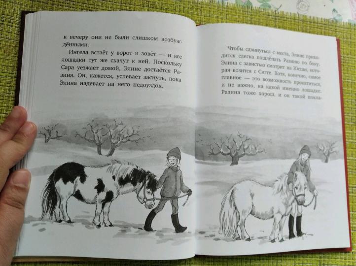 Вперёд, Сигге!