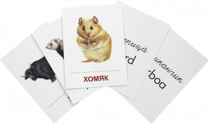 Cartes à raser "Дикие животные -2" (63х87мм)