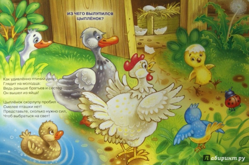 КАРТОНКА. МОИ ДРУЗЬЯ