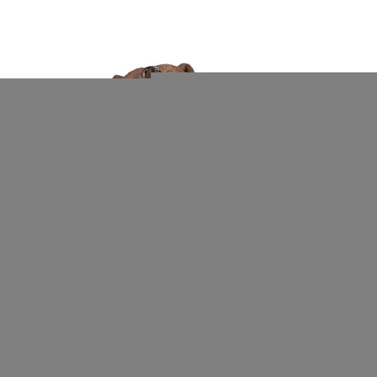 Schleich. Фигурка "Медведь гризли" арт.14685