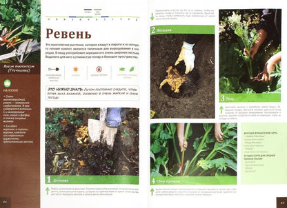 Ваш огород в иллюстрациях шаг за шагом. Овощи. Пряные травы. Брошар Д.