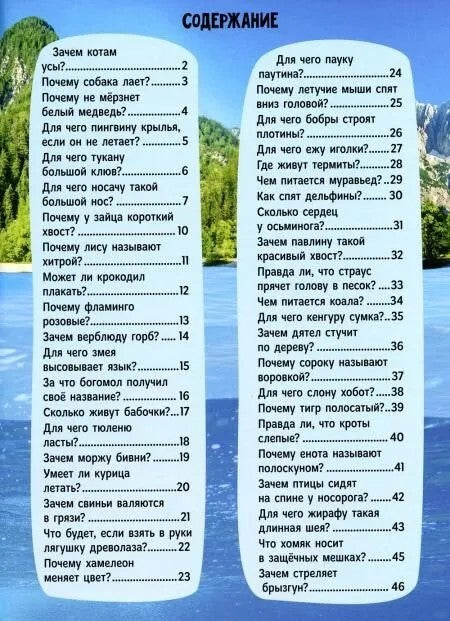 ЗАЧЕМ КОТАМ УСЫ? мат.ламин.обл, выбор.лак, мелов.бум. 215х290
