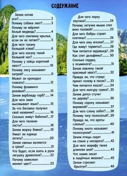 ЗАЧЕМ КОТАМ УСЫ? мат.ламин.обл, выбор.лак, мелов.бум. 215х290