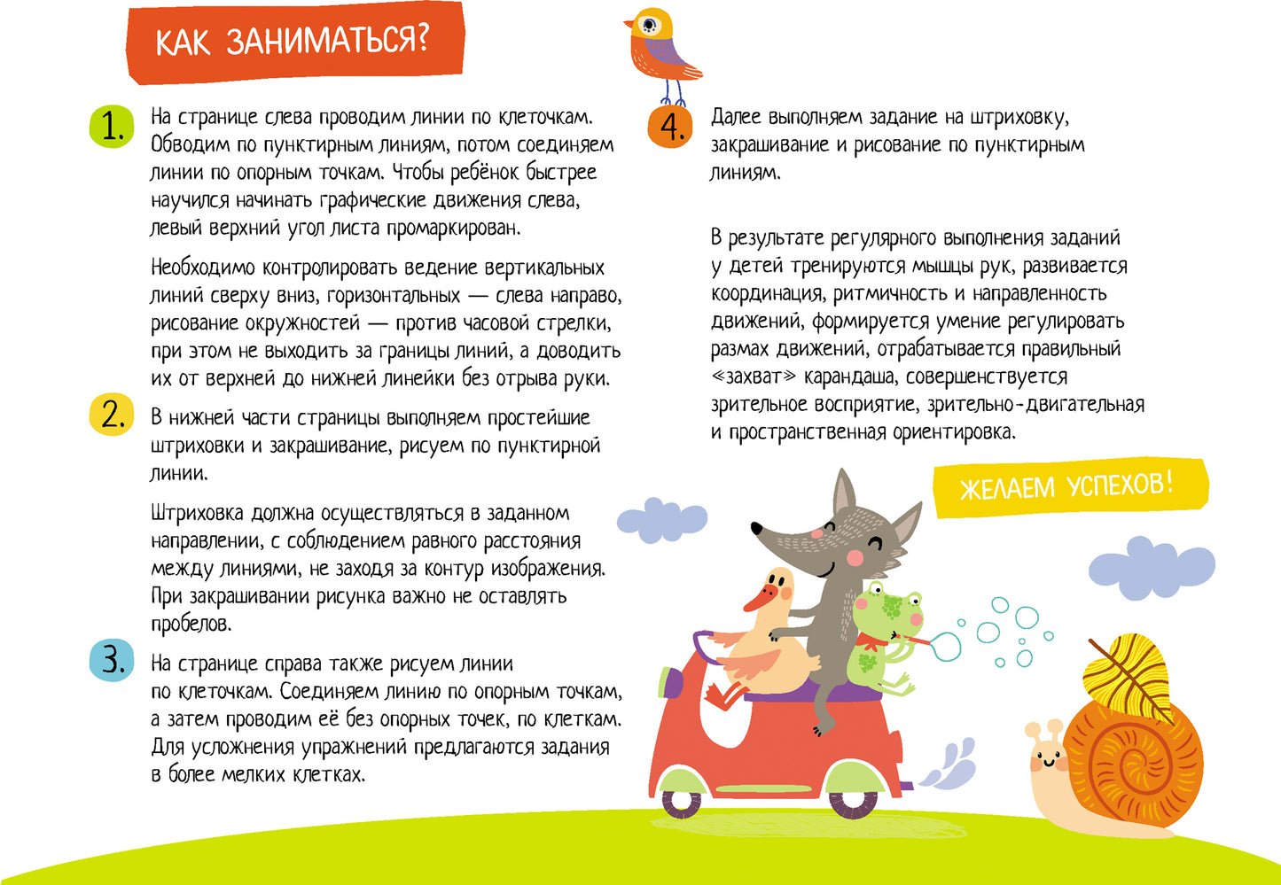 IQ-прописи.4+ Рисуем по клеткам