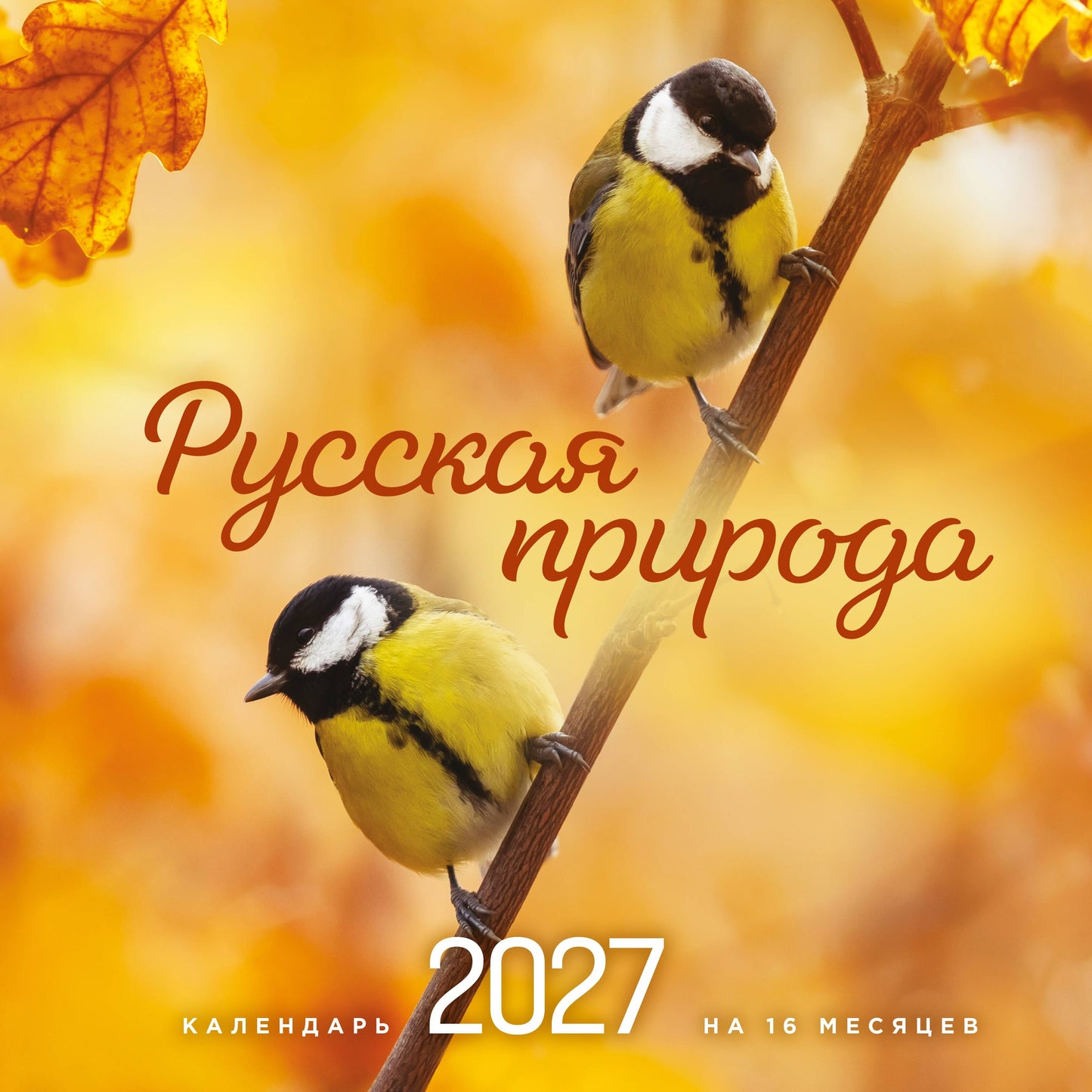 Русская природа. Календарь настенный на 16 месяцев на 2027 год (300х300 мм)