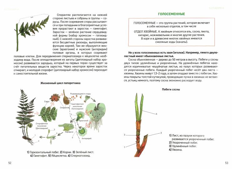 Биология:универсальный навигатор для подг. к ЕГЭ