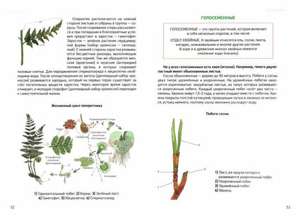 Биология:универсальный навигатор для подг. к ЕГЭ