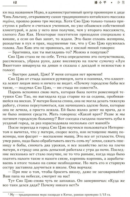 Двойной зрачок. Китайская проза ХХ - ХХI в.