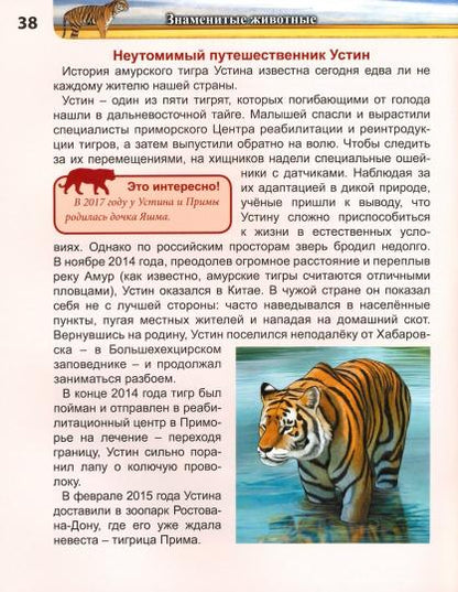 ЭНЦИКЛОПЕДИЯ. ХОЧУ ЗНАТЬ. ЗНАМЕНИТЫЕ ЖИВОТНЫЕ