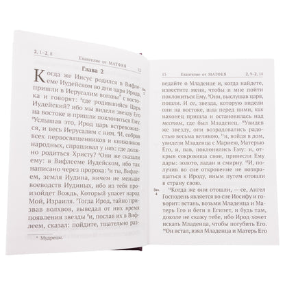 Новый Завет с выделенными словами Спасителя