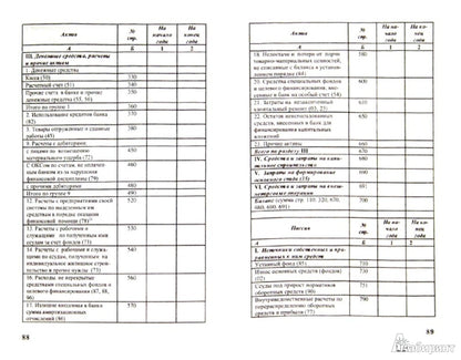 Эволюция бухгалтерской отчетности:учеб. пособие