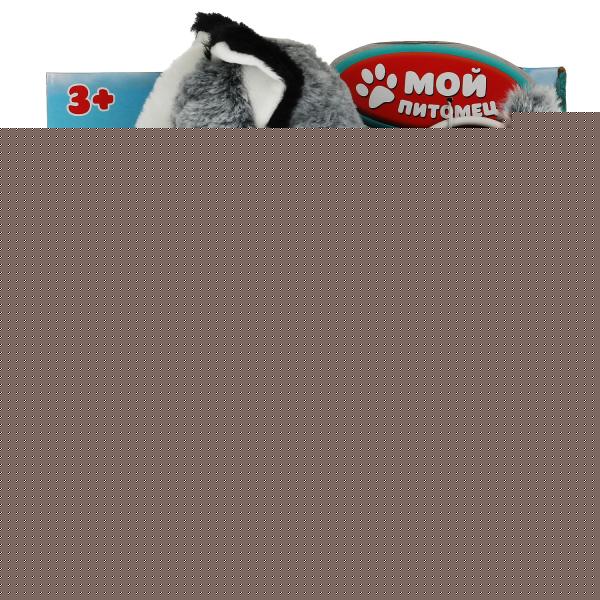 Album interactif de 22 cm avec un volume de 22 pouces, en 12 parties, dans le cor.
