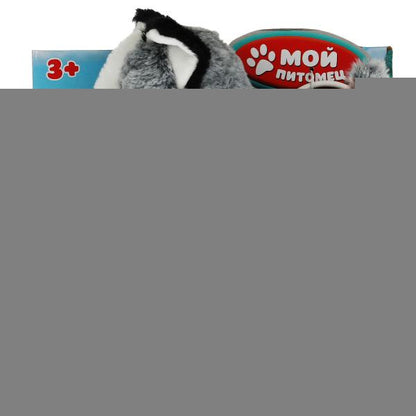 Album interactif de 22 cm avec un volume de 22 pouces, en 12 parties, dans le cor.