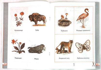 Окружающий мир. 1 класс. Рабочая тетрадь №2