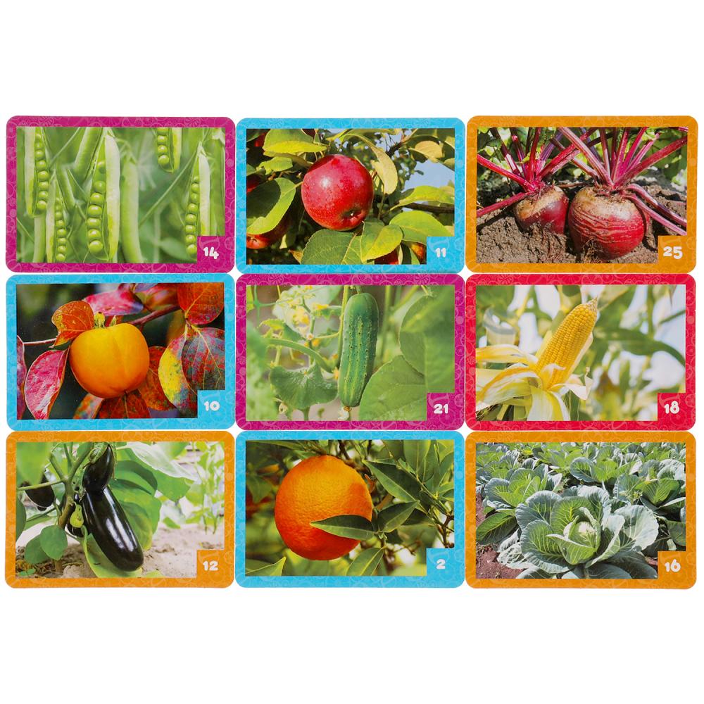 Fruits et œufs. Carte du jeu Mémo. (50 cartes, 65x95 mm). Couleur: 125х170х40мм Jeux complets dans la couleur50шт