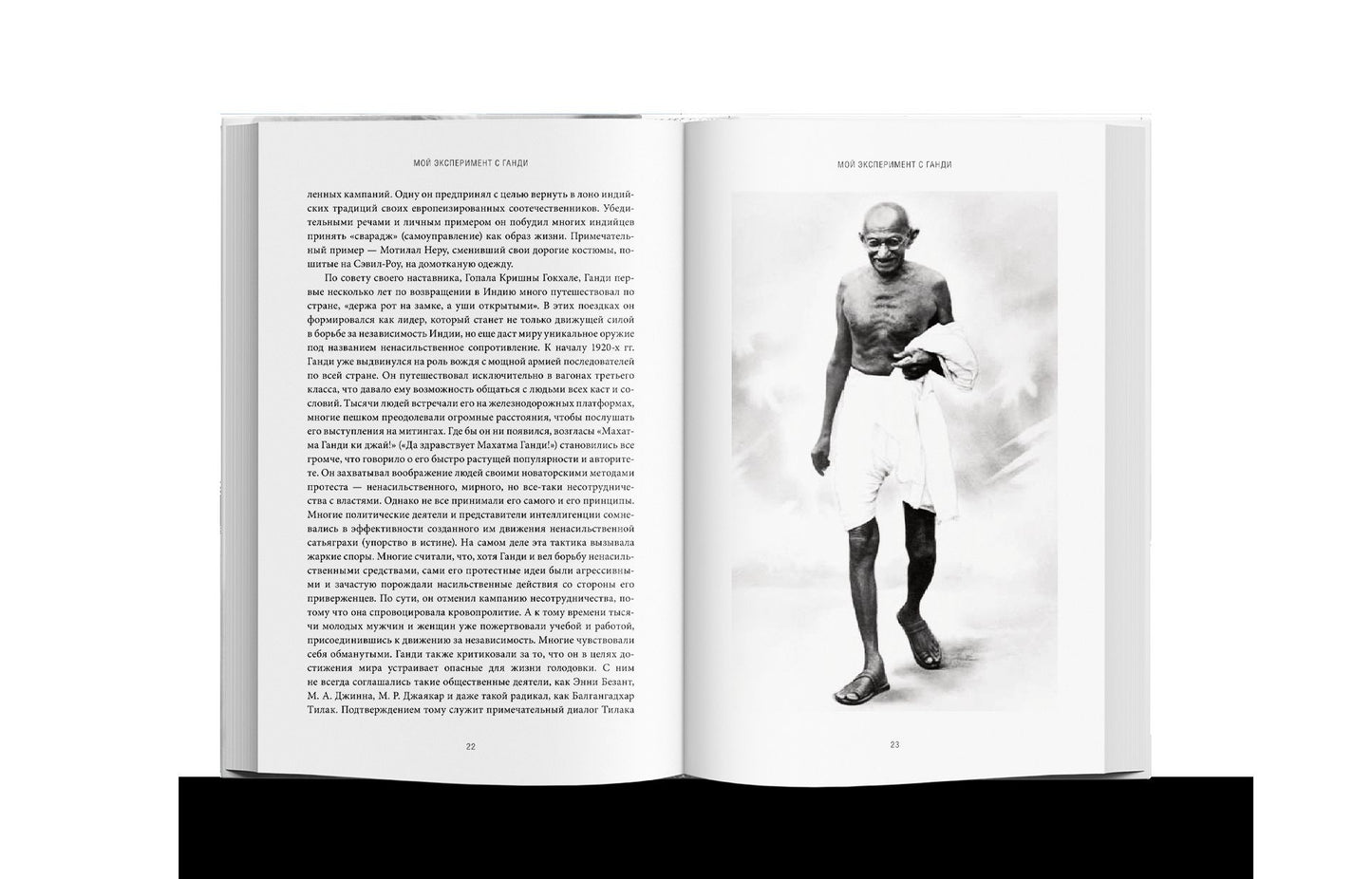 Ганди: Иллюстрированная биография (р1)